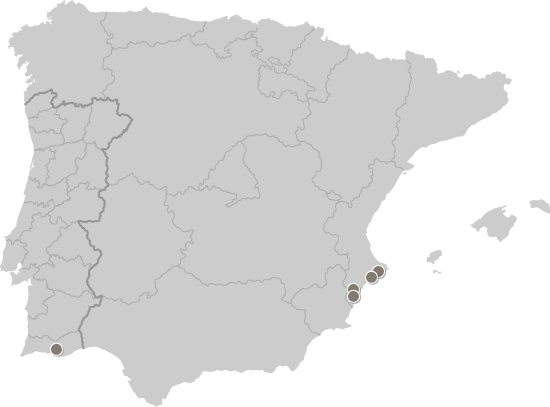 Dealers in Portugal en Spanje